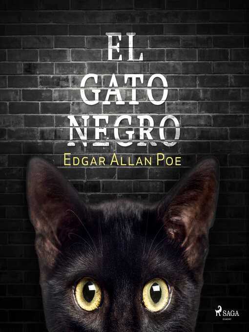 Cover image for El gato negro